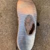 FRP Steel Shoe Repairs