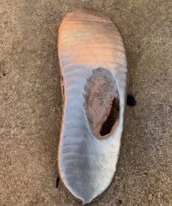 FRP Steel Shoe Repairs